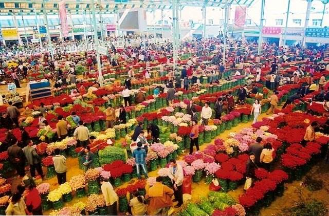 母亲节鲜花怎样选择 鲜花有哪些品牌