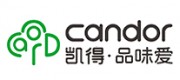 凯得candor